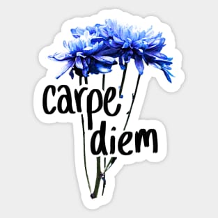 Carpe Diem Sticker